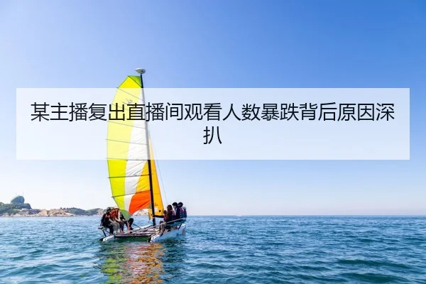 某主播复出直播间观看人数暴跌背后原因深扒